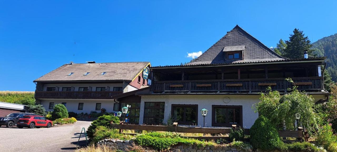 Draxlerhaus Hotel Хоентауерн Екстериор снимка