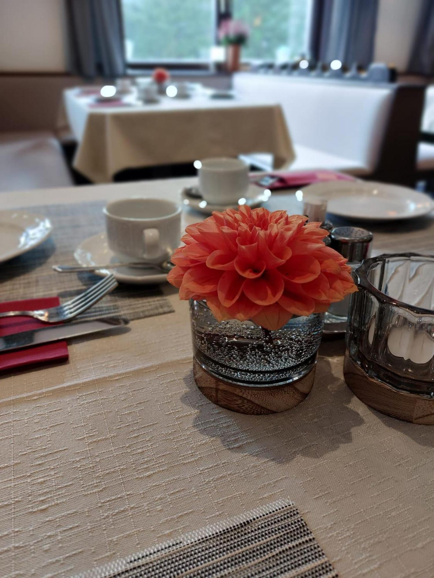 Draxlerhaus Hotel Хоентауерн Екстериор снимка